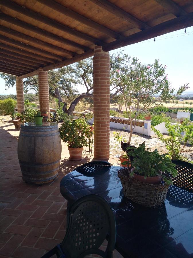 Villa Aproveite O Sabor Do Alentejo Vila Verde de Ficalho Exterior foto